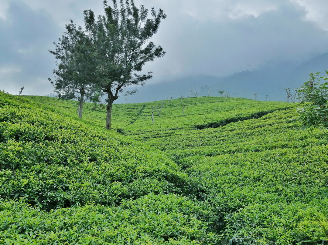 Travelling Thrills-埃勒必去景点