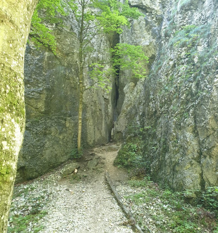Zadielska tiesnava narrow-Turna nad Bodvou必去景点