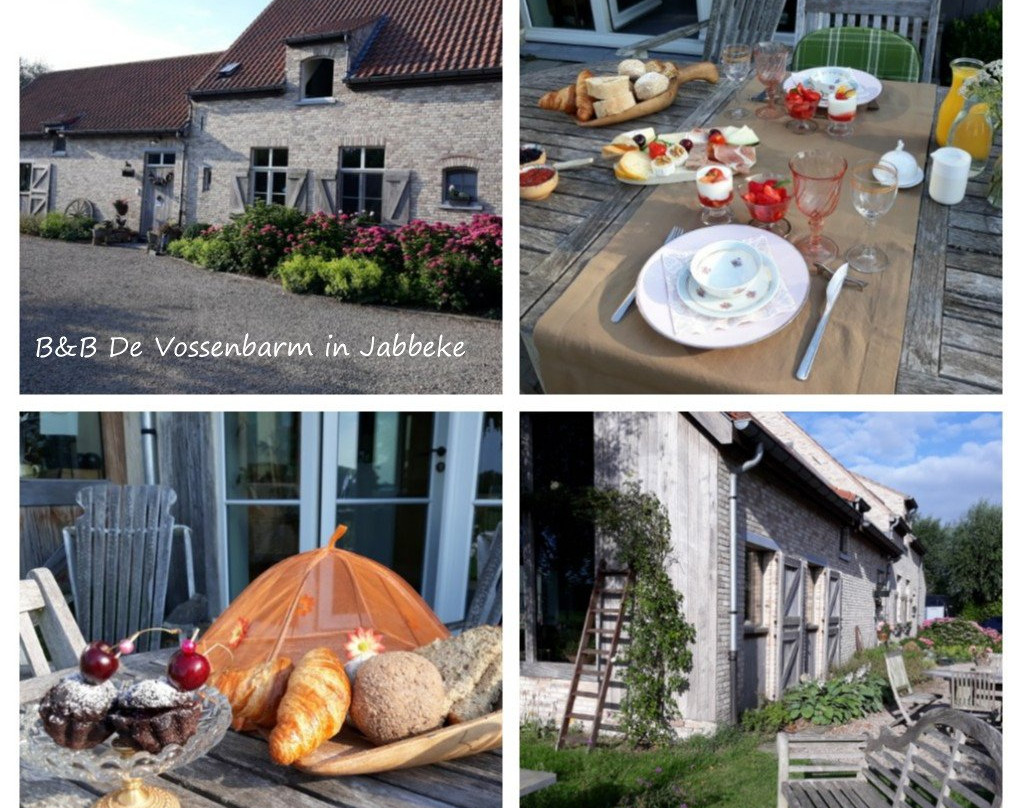B&B De Vossenbarm主图