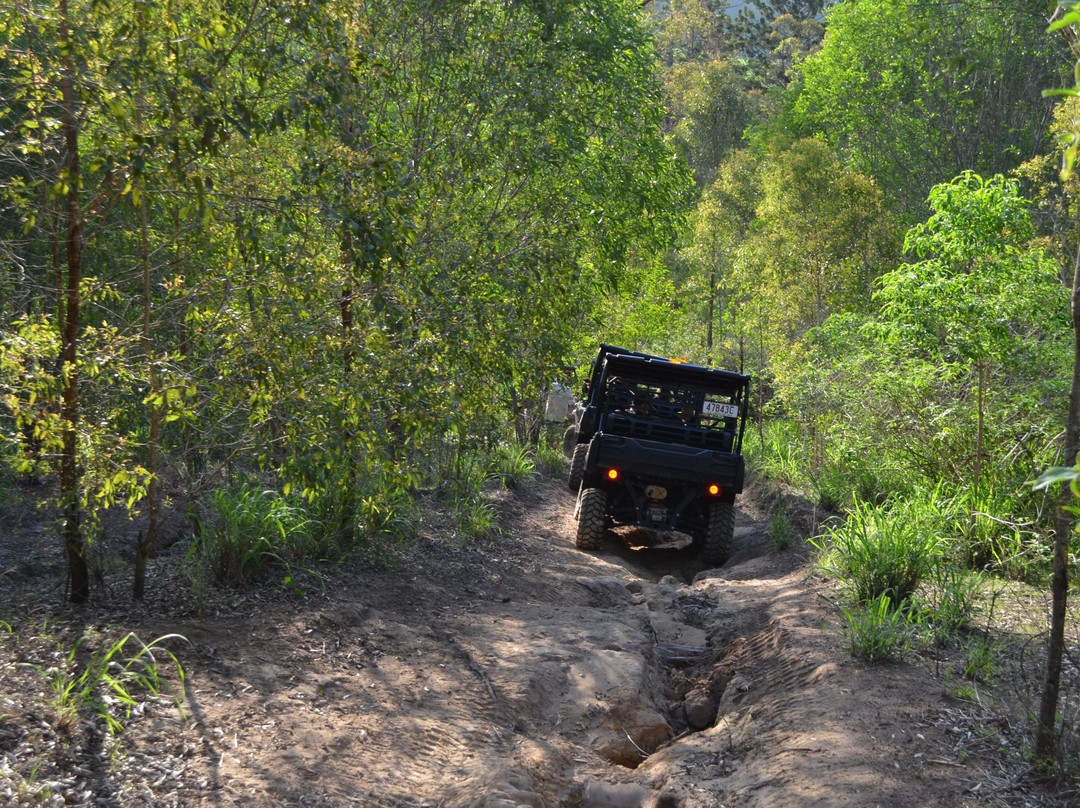 Oz Buggy Tours-Kingaham必去景点