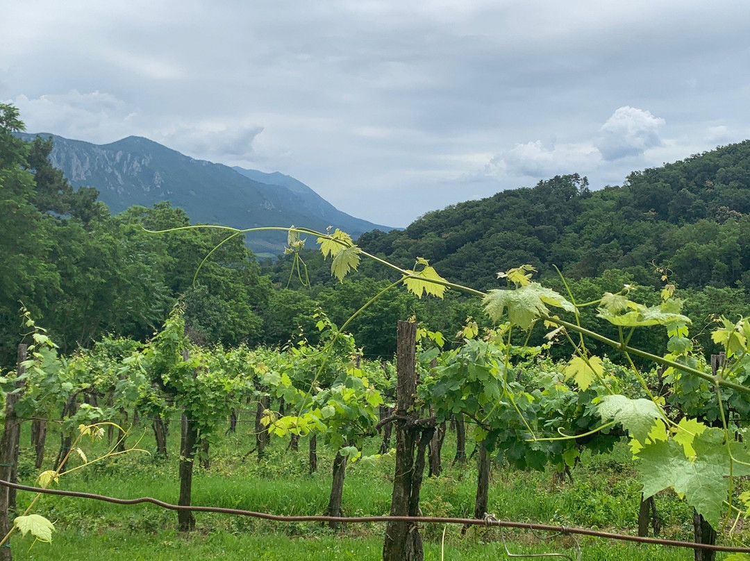 Vino Žorž-Slap必去景点