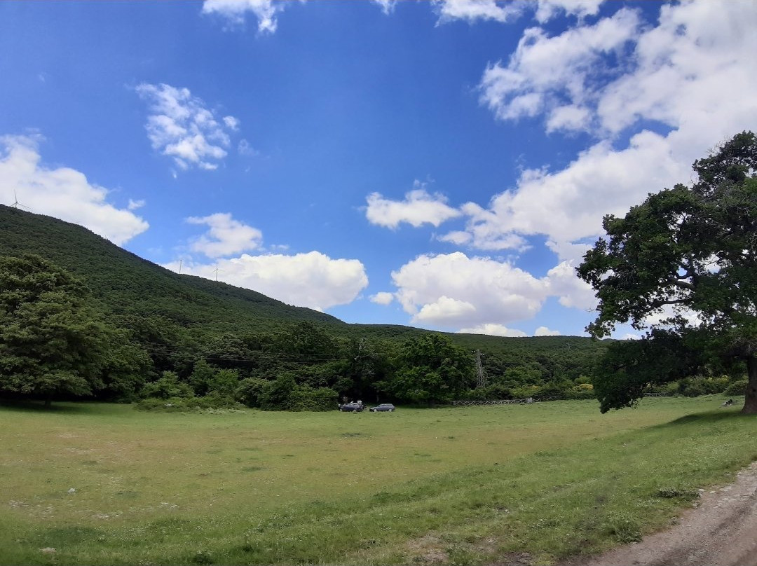 Bosco Paduli-Accadia必去景点