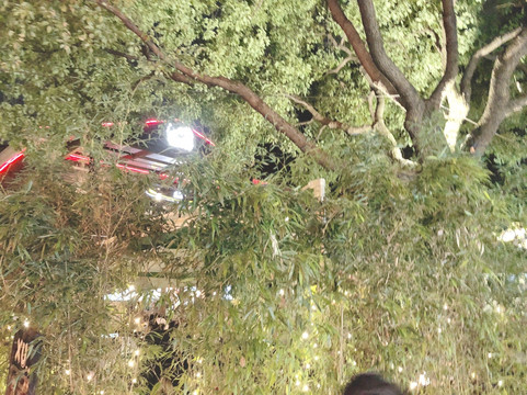 老外街-上海市必去景点