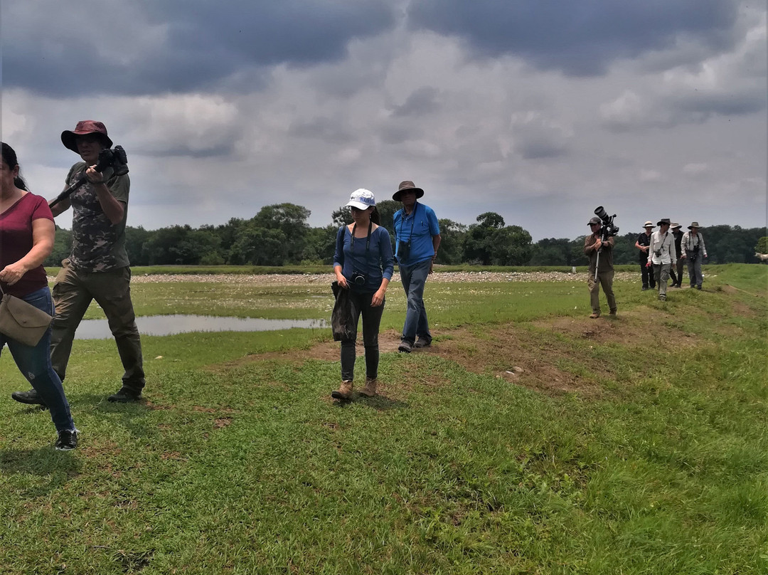 Birding & Wildlife Colombia Tours景点图片