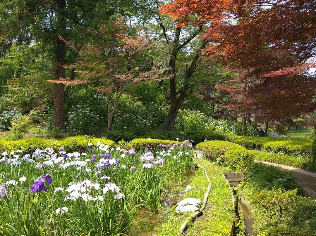 Yakushiike Park-町田市必去景点