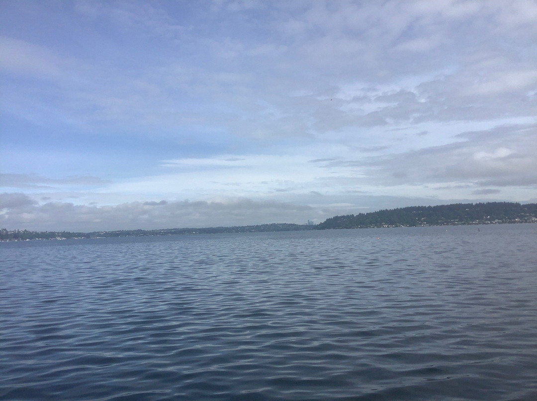 Gene Coulon Memorial Beach Park-伦顿必去景点