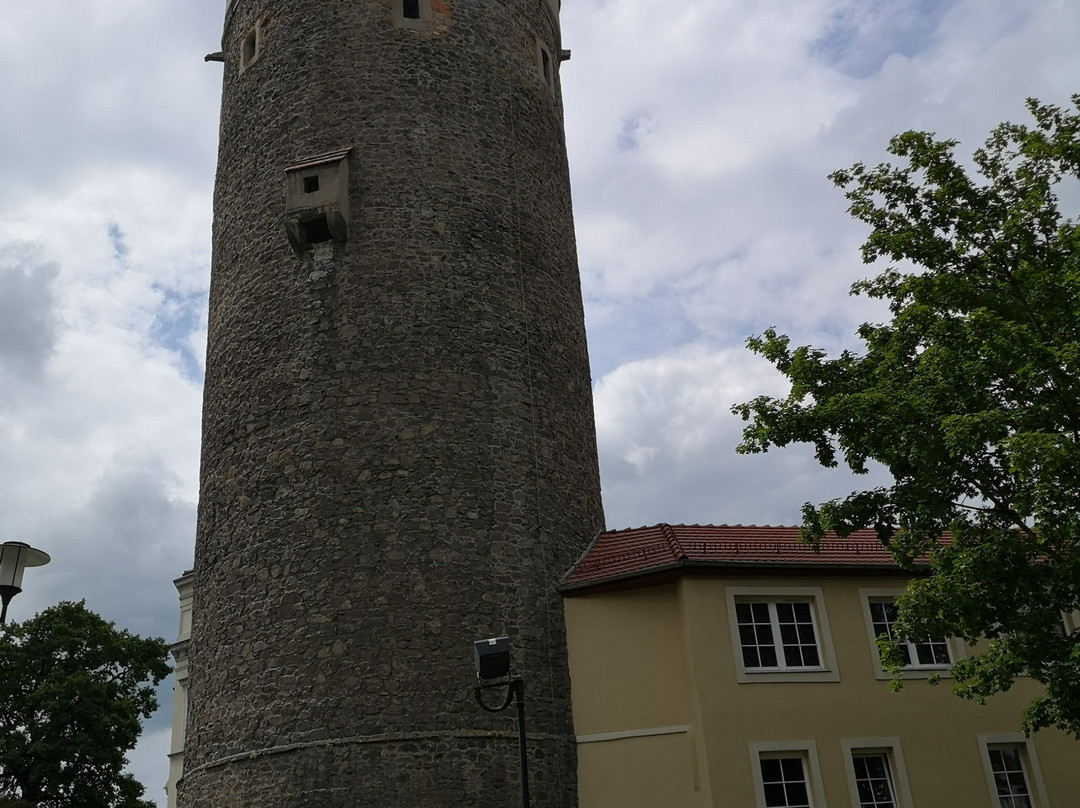Bracka Tower景点图片