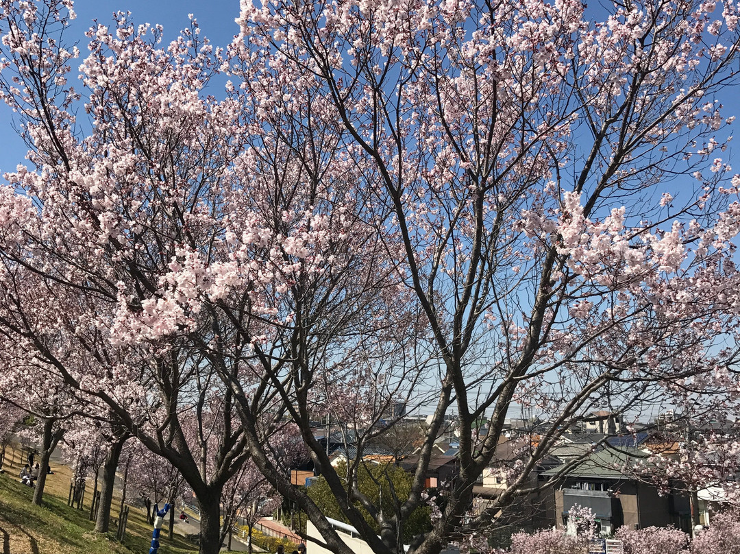 Sayamaike Park-大阪狭山市必去景点
