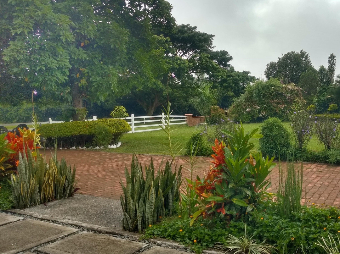 Hotel Herrera Polo主图