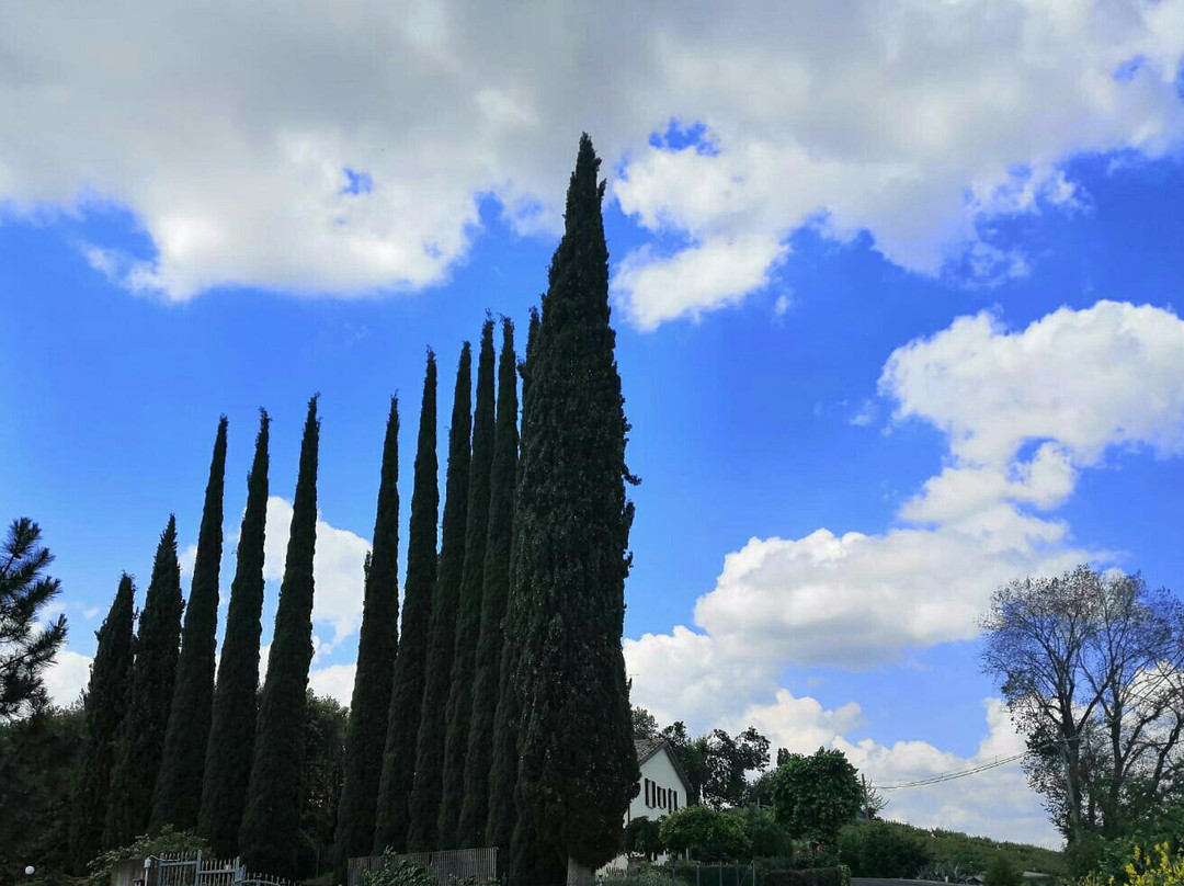Parco Tozzoni景点图片