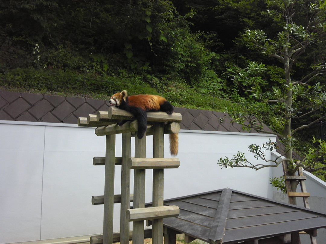 Nishiyama Zoo景点图片