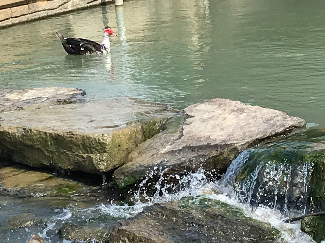 Oxford Lake Park景点图片