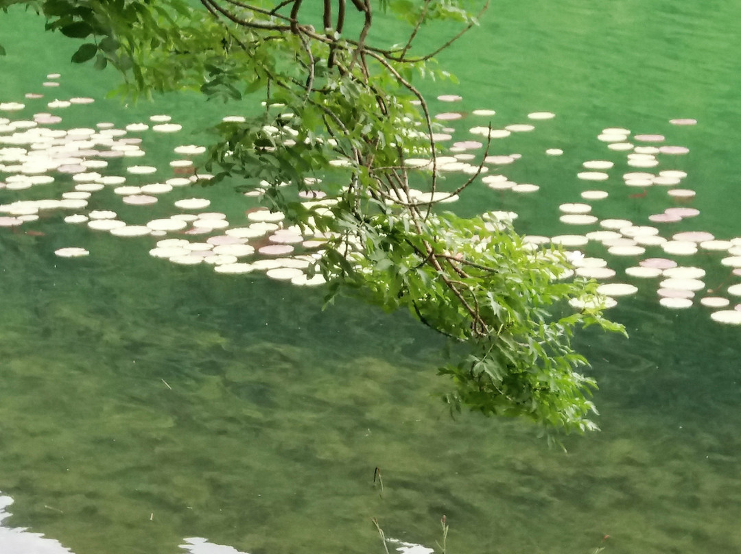 Parco Lago Segrino景点图片