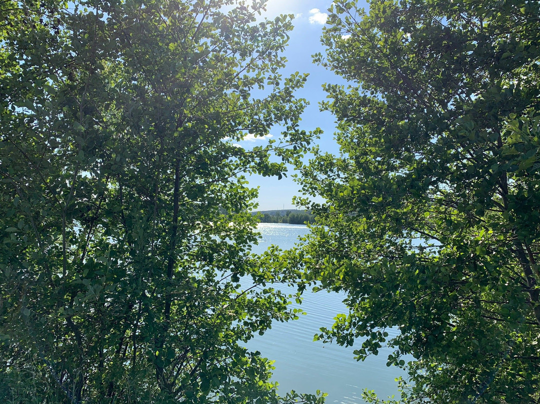 Lac de la Gravière景点图片