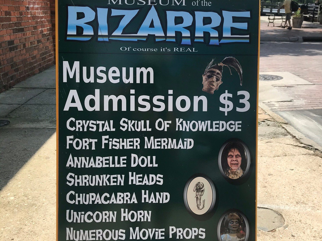 Museum of the Bizarre-威尔明顿必去景点