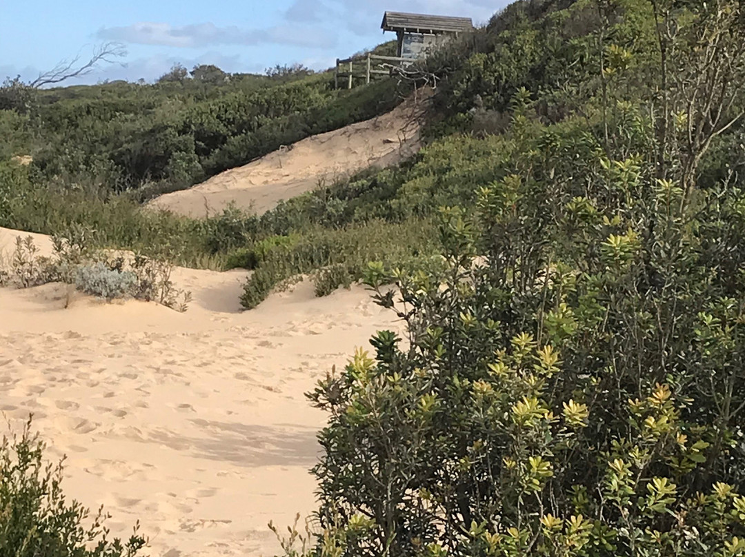 Stockyard Hill Surf Beach景点图片