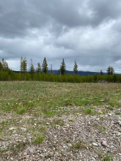 Flathead National Forest景点图片