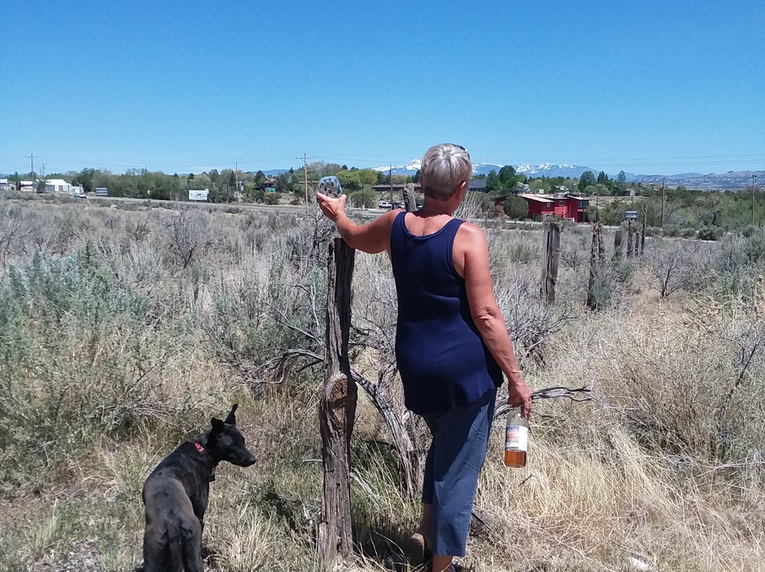 Yellow Car Country Wines-科尔特斯必去景点