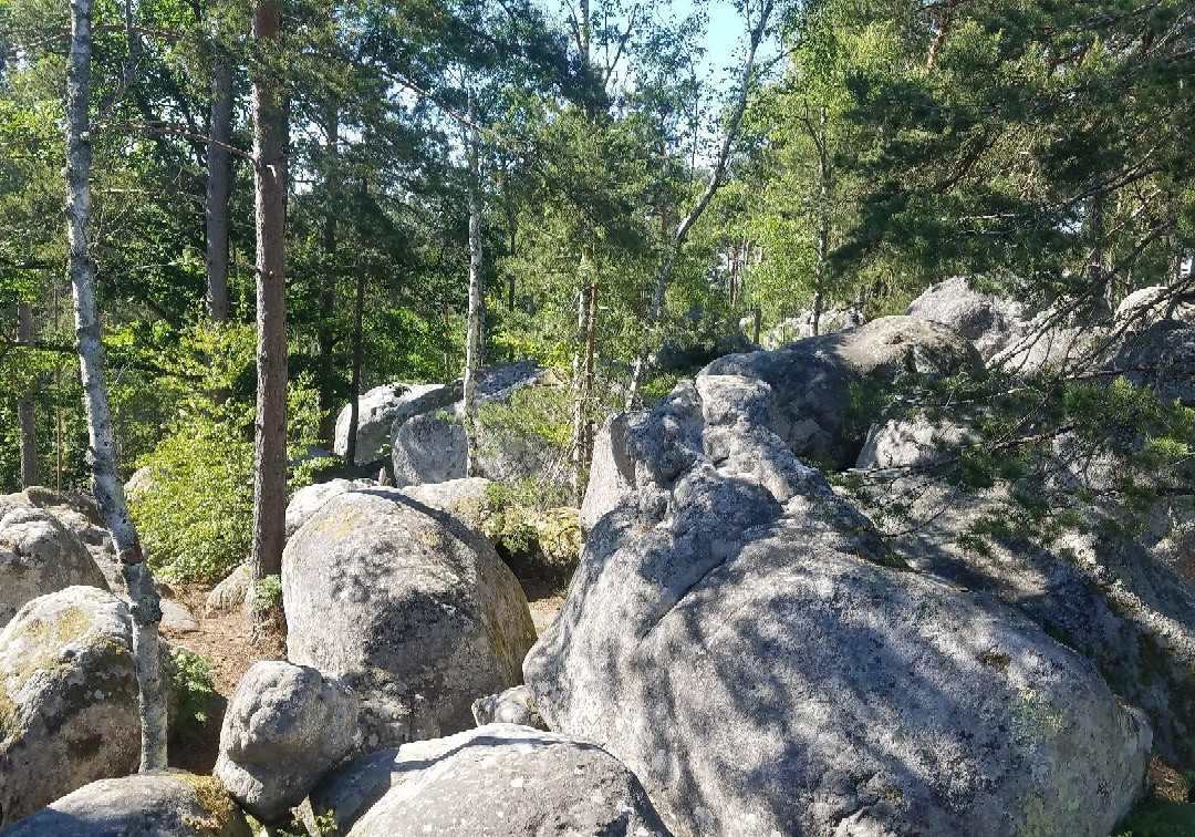 Forêt De Barbizon景点图片