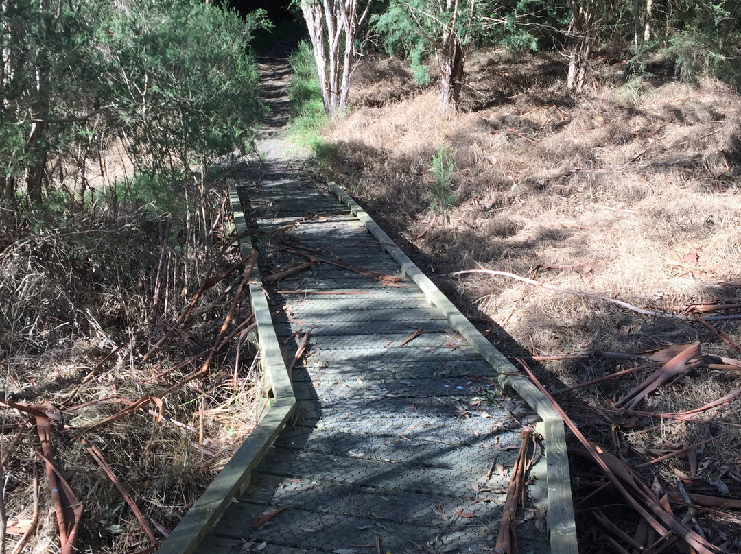 Pioneer Reserve-Kongwak必去景点