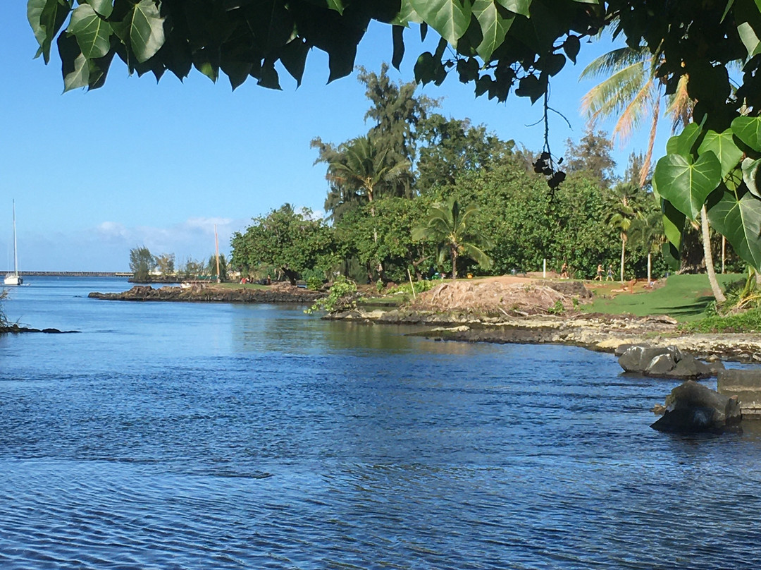 Reeds Bay Beach Park-希洛必去景点