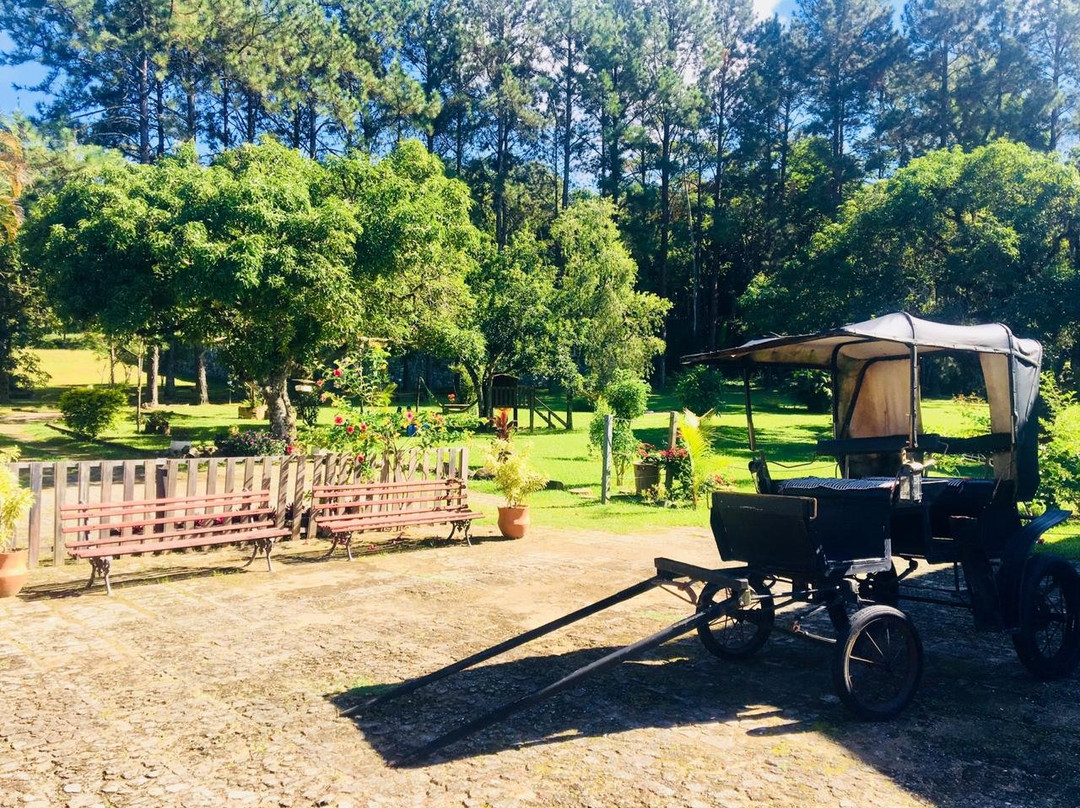 Pousada Vale Do Cafe主图