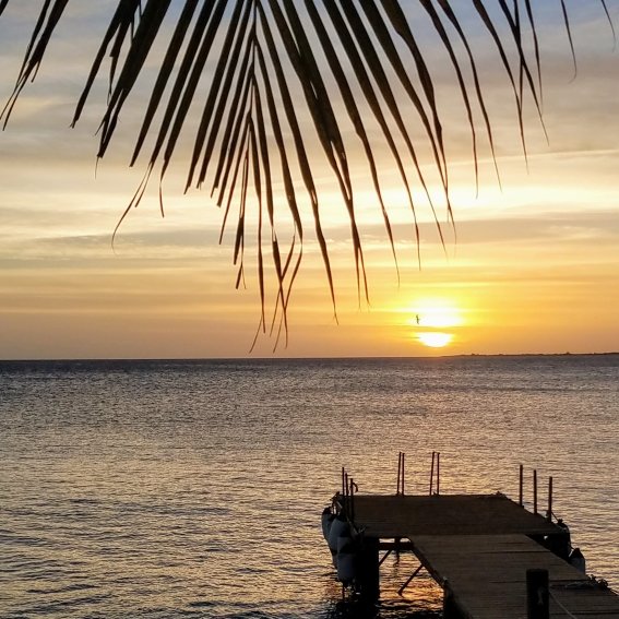 Bruce Bowker's Carib Inn-portrait