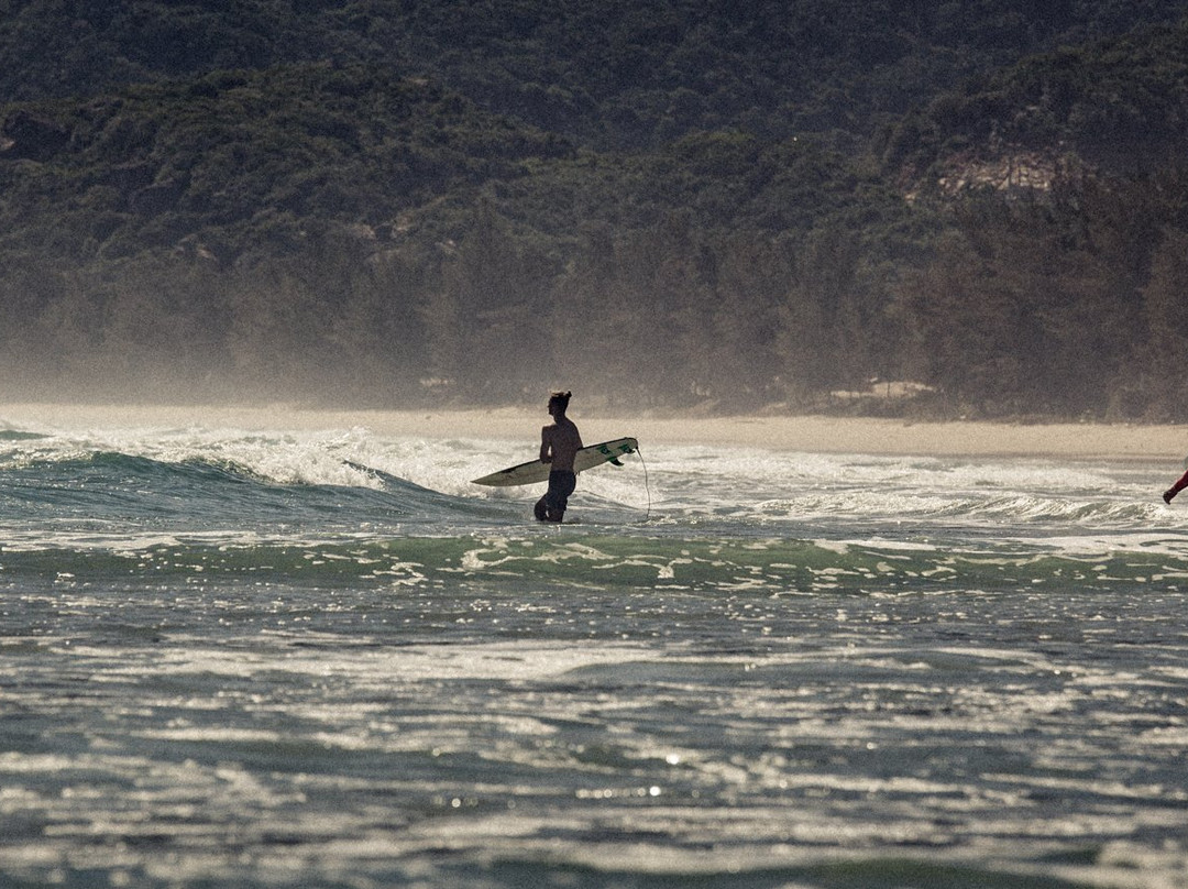 Vietnam Surf Camping景点图片