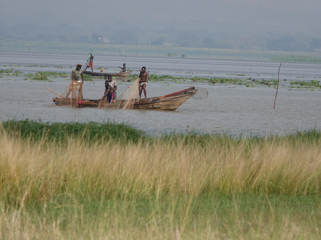 Lake Albert-Ntoroko必去景点