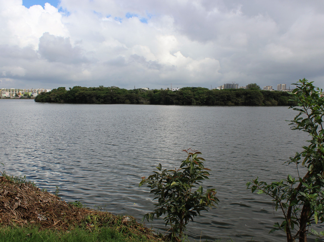 Madiwala Lake-班加罗尔必去景点