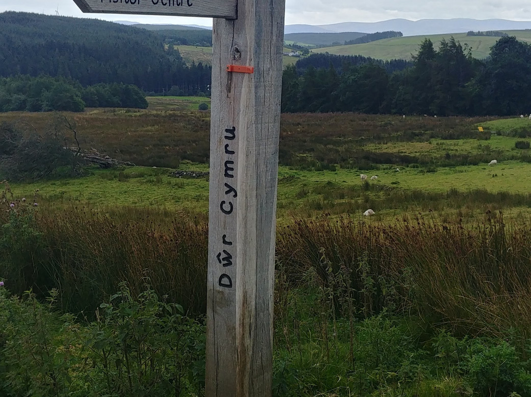 Llyn Brenig Visitor Centre景点图片