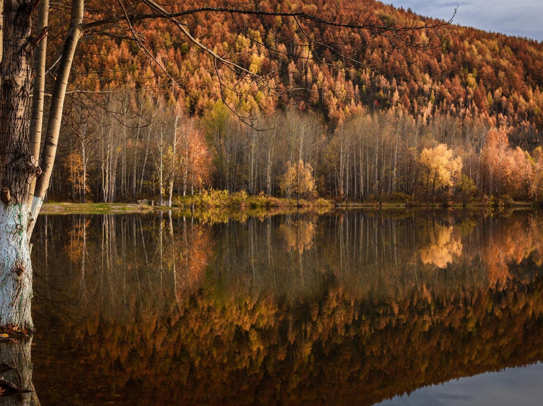 Solnechny旅游攻略图片