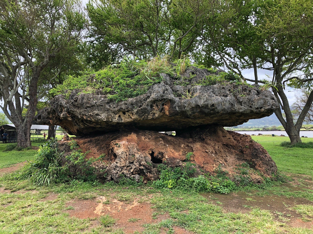 Kaiaka Bay Beach Park-哈雷瓦必去景点
