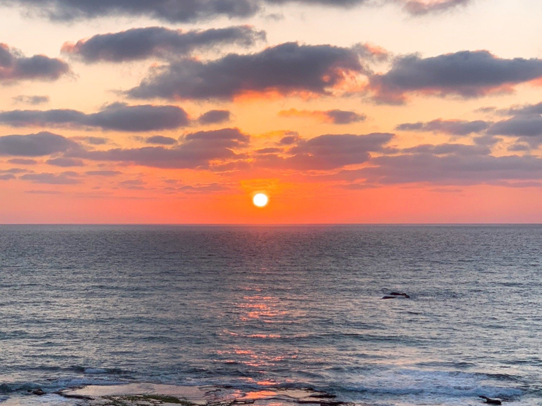 Bat Yam Boardwalk-Tayelet-Bat Yam必去景点