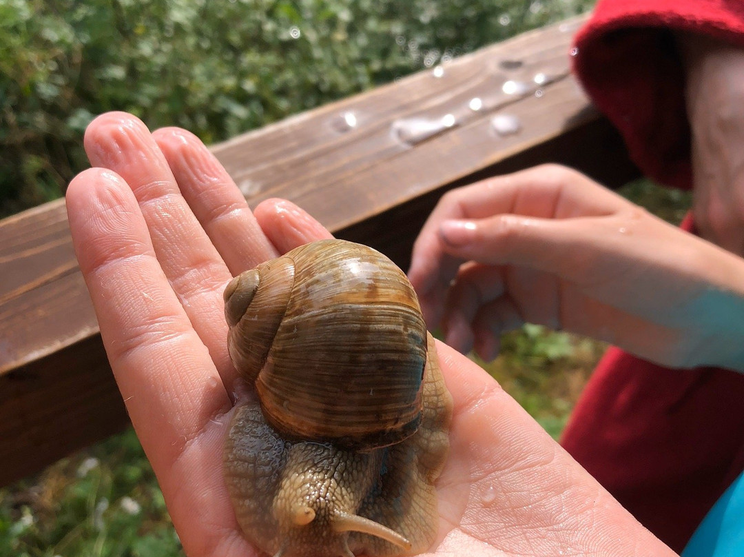 Krasna Polyana主图