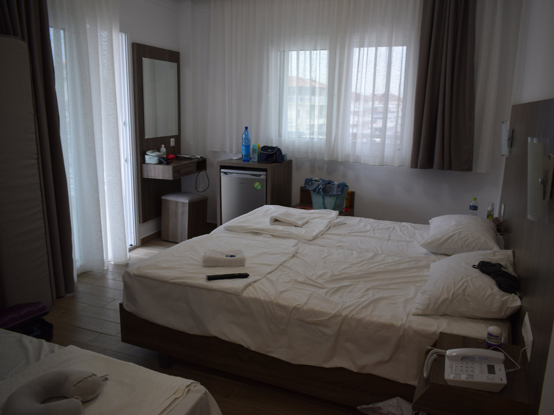 Scandinavia Hotel主图