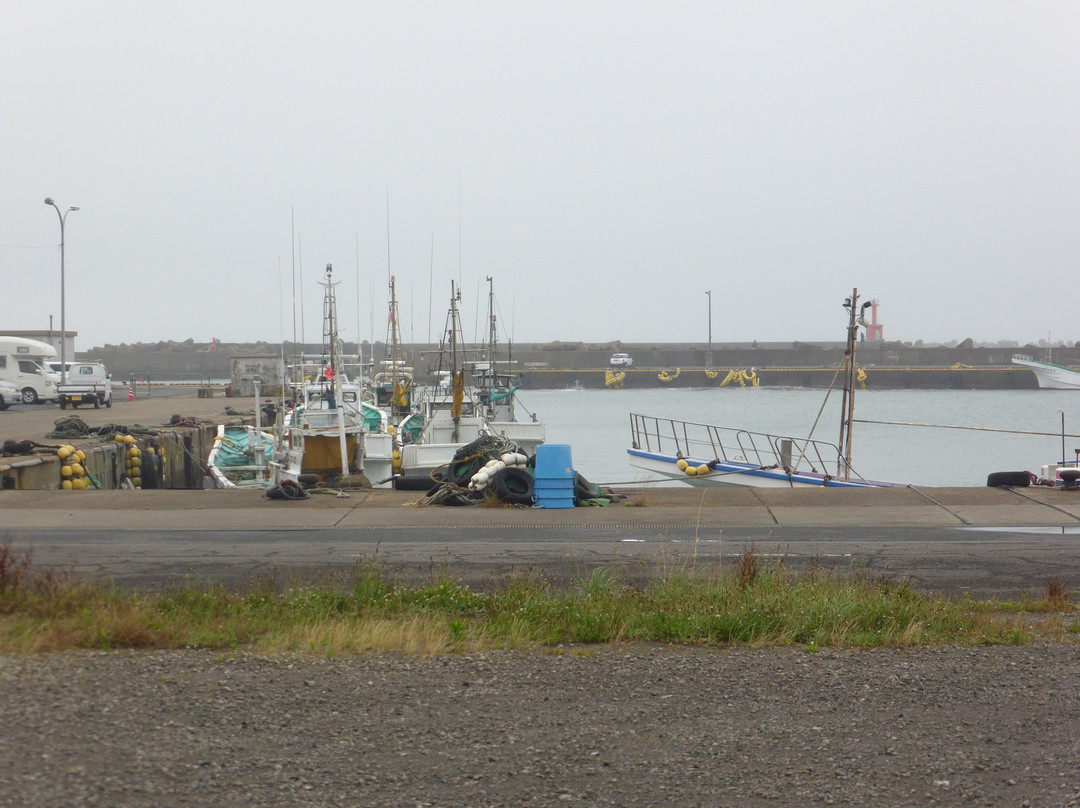 Tokawa Fishing Port景点图片