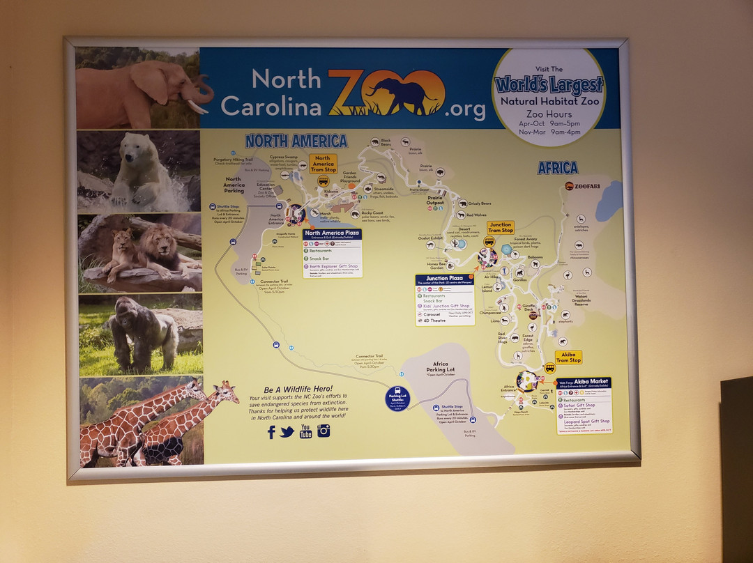 Comfort Inn & Suites主图