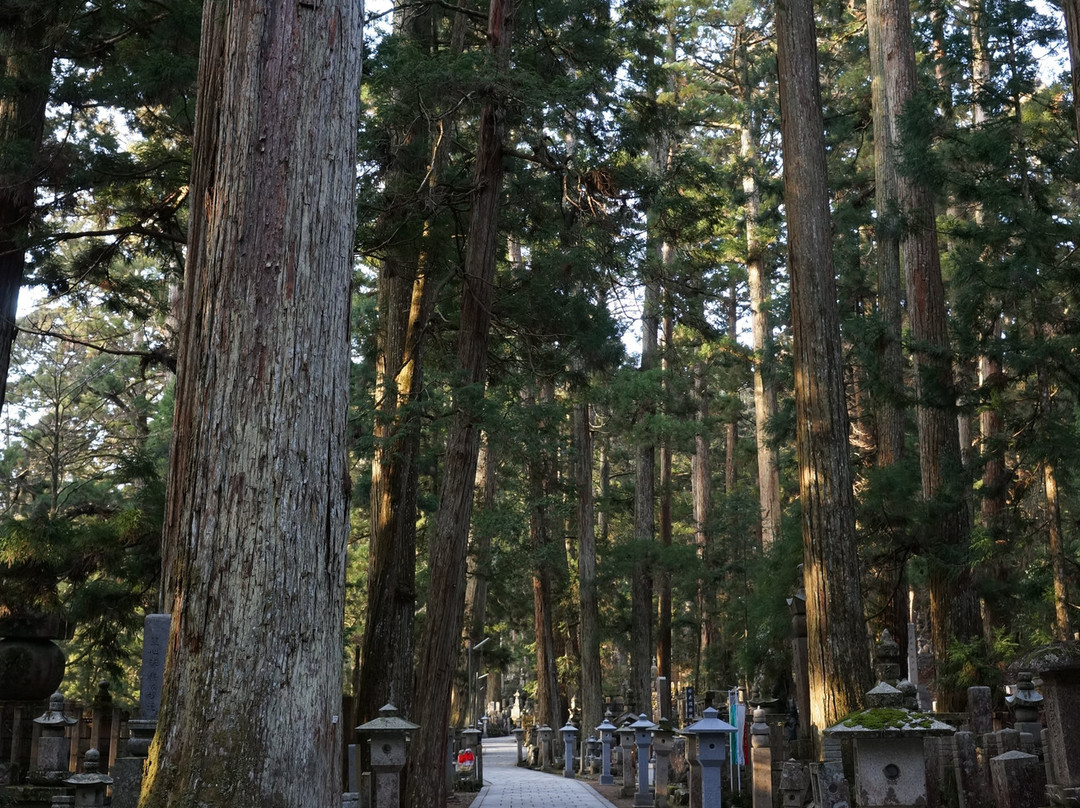 Daiju Bus-纪美野町必去景点