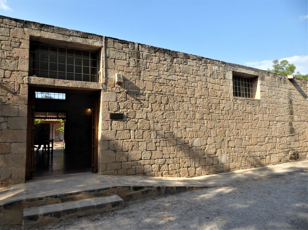 Archaeological Museum of Aegina景点图片