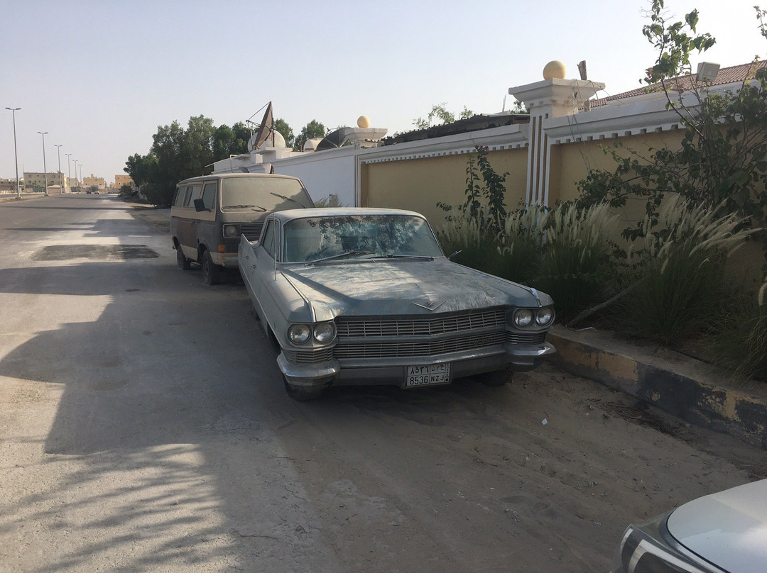 Taybeen Museum-胡拜尔必去景点