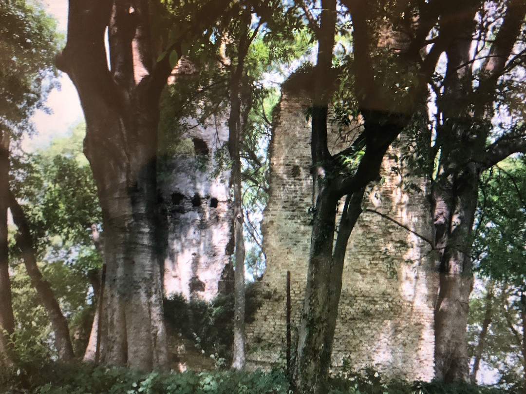Torre di Rai景点图片