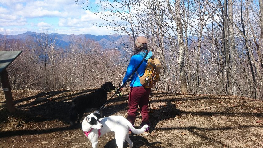 Mt. Mito-奥多摩町必去景点