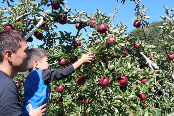 Tamura Apple Farm-沼田市必去景点