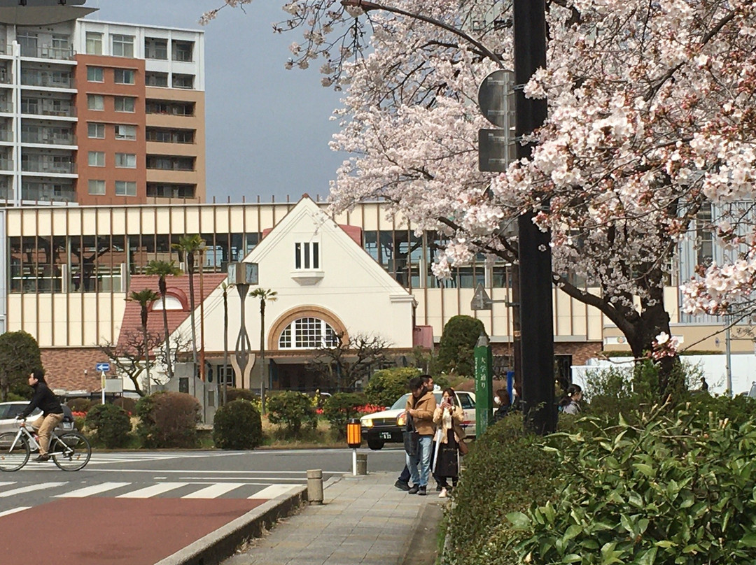 Daigakudori Street-国立市必去景点