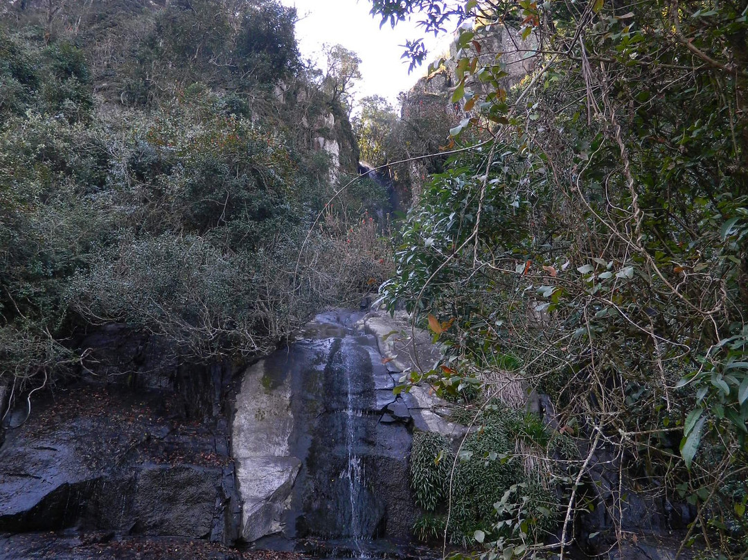 Karkloof Canopy Tour-豪威克必去景点