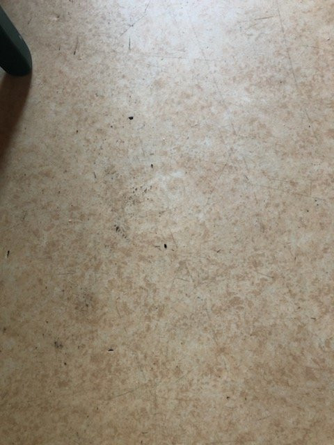 Residence Odalys L'Ecrin des Neiges主图