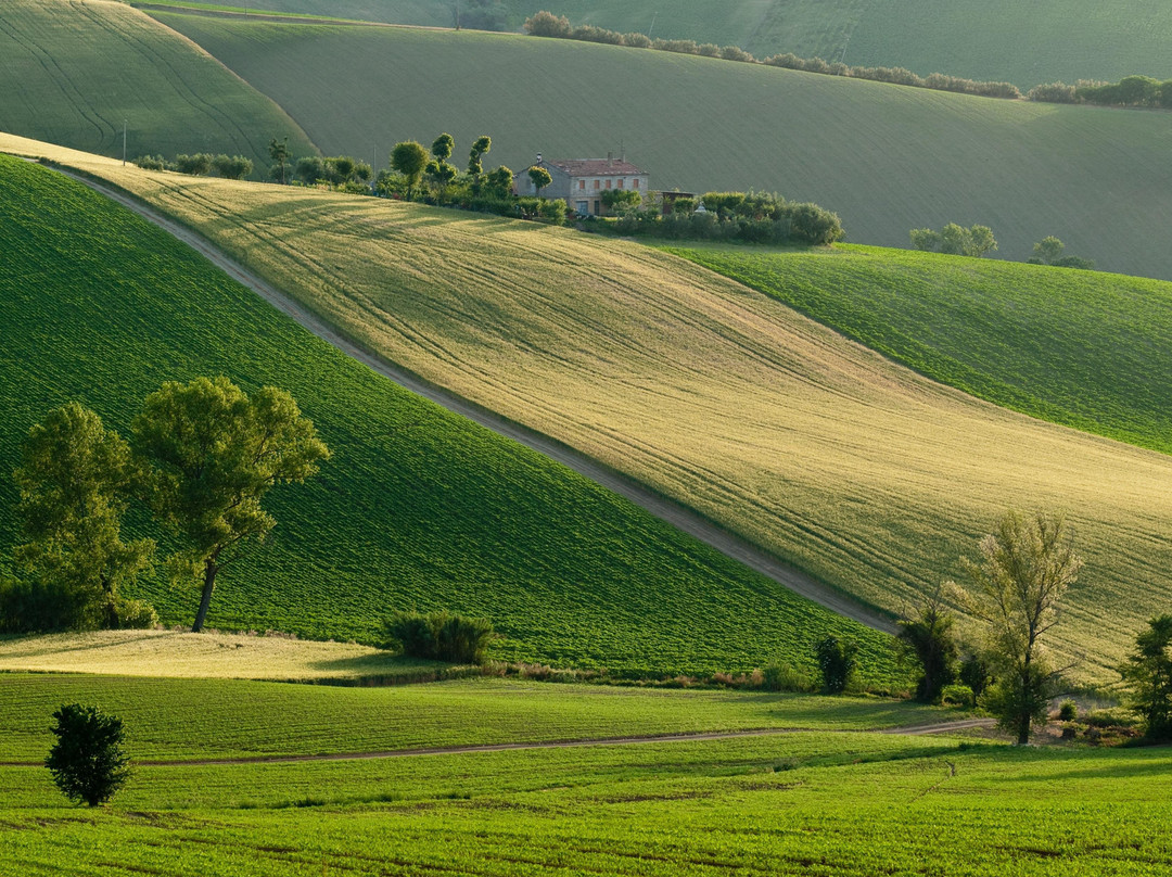 Tripendipity-费尔莫必去景点