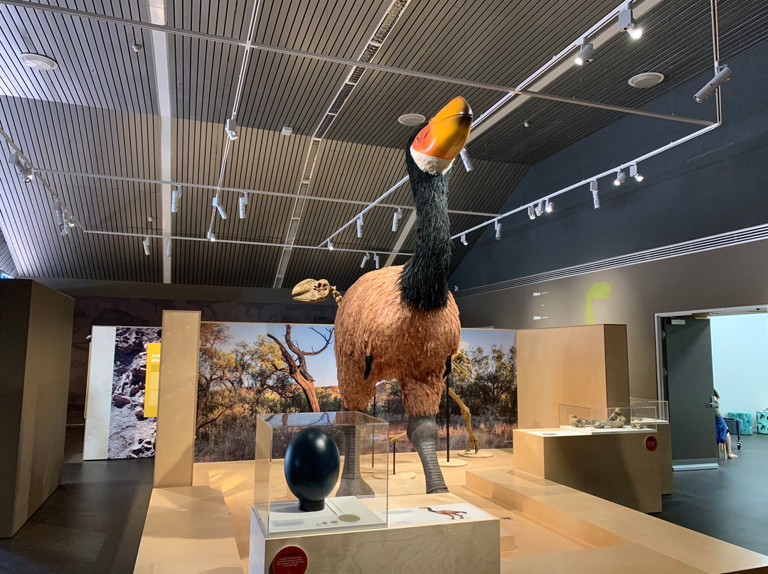Megafauna Central - Museum and Art Gallery of the Northern Territory-爱丽斯泉必去景点