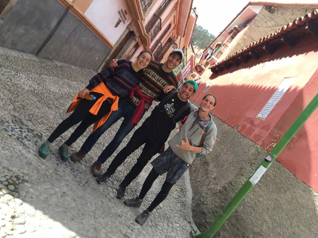 Bolivia Walking Llama-拉巴斯必去景点